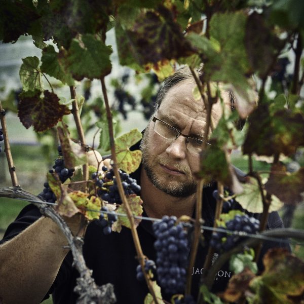 Marlborough winery calls 2022 harvest “a vintage of challenge”