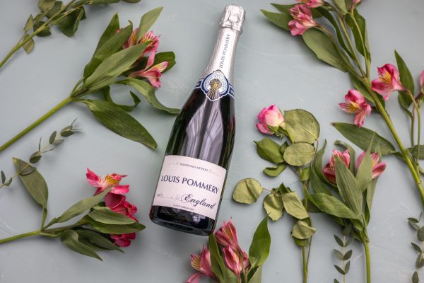 Harvest quality looks high at Pommery’s Pinglestone Estate