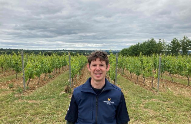 Robert MacCulloch MW joins Hattingley Valley as head winemaker