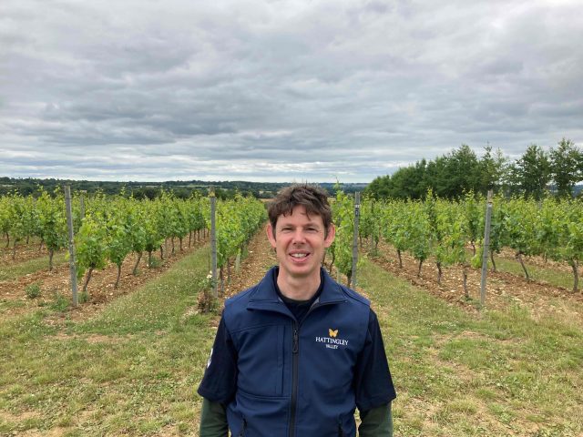 Robert MacCulloch MW joins English winery Hattingley Valley as head winemaker