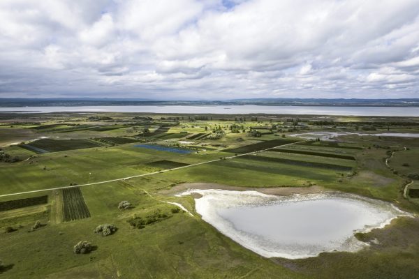 First Austrian wine to be sold on La Place de Bordeaux