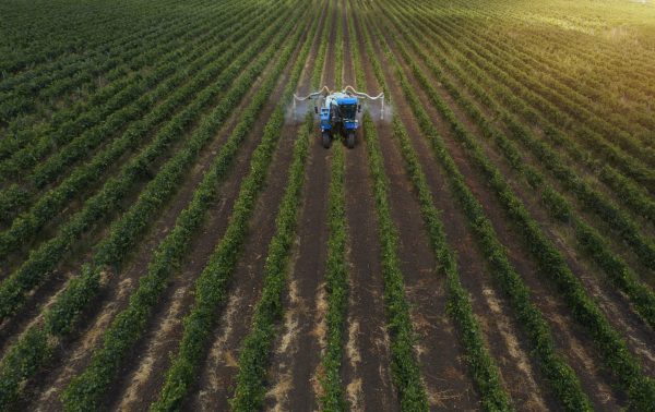 Could using Moroccan fertilisers help wineries remove Russian ties?