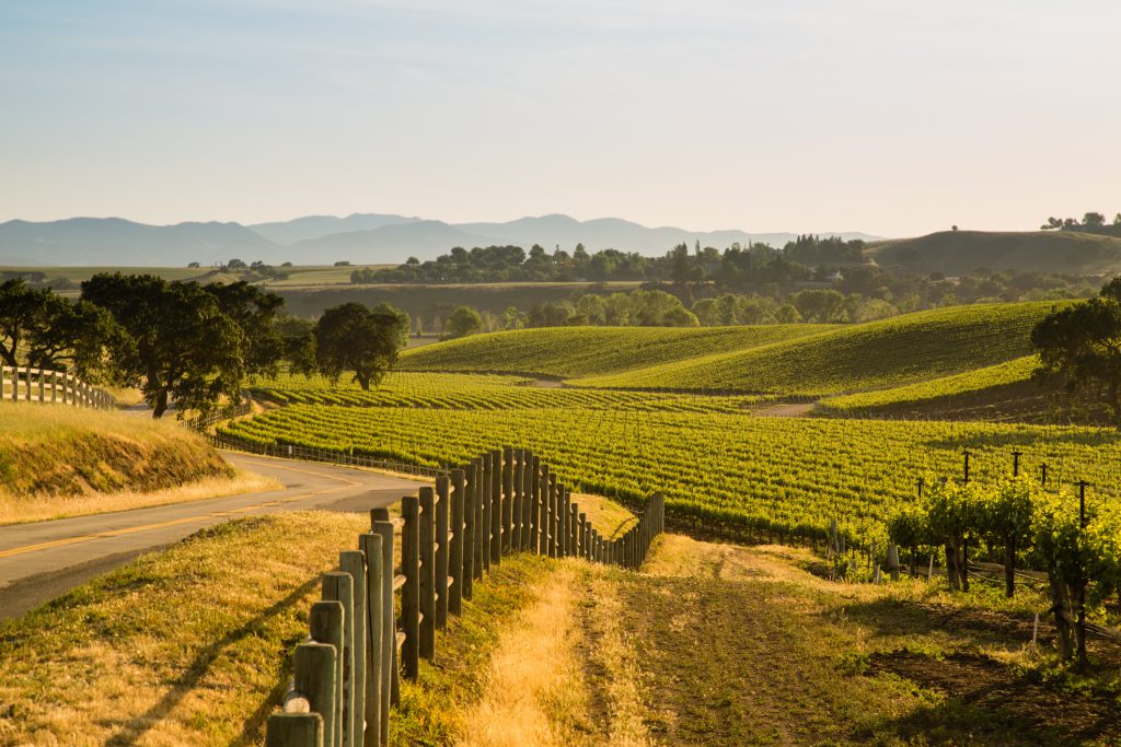California vineyard estate on sale for US$5.4 million