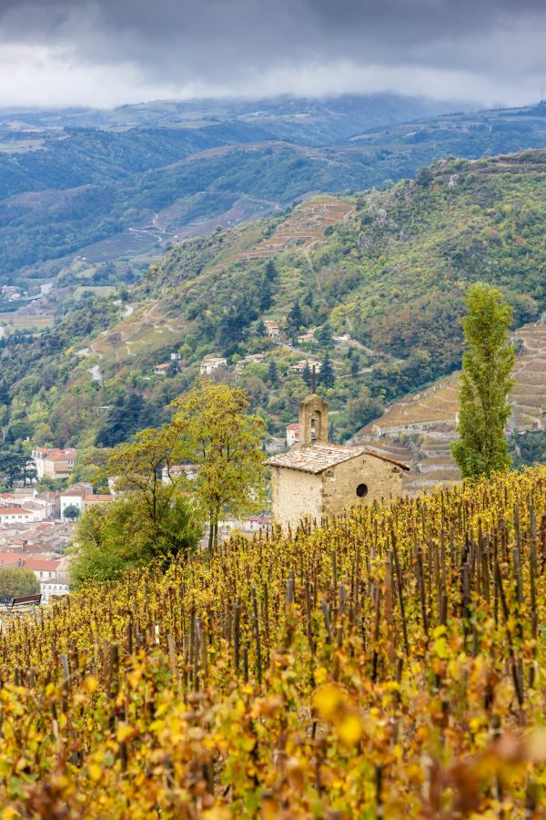 Sustainability, climate change and the Rhône
