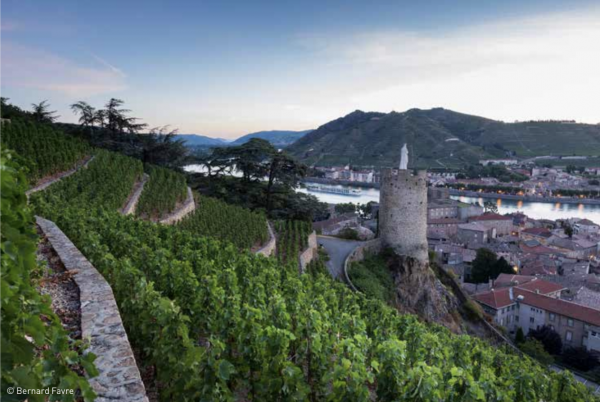 db recommends: Côtes du Rhône and Crus wines tasting