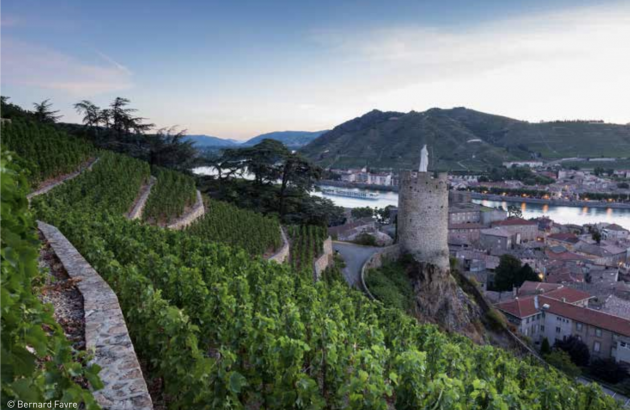 db recommends: Côtes du Rhône and Crus wines tasting