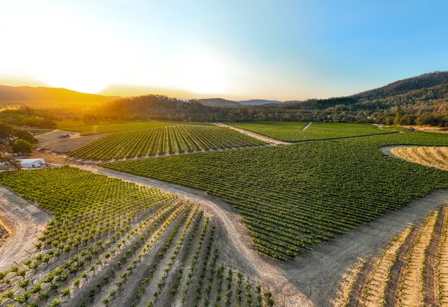 PlumpJack becomes one of Napa's largest estates with latest acquisition