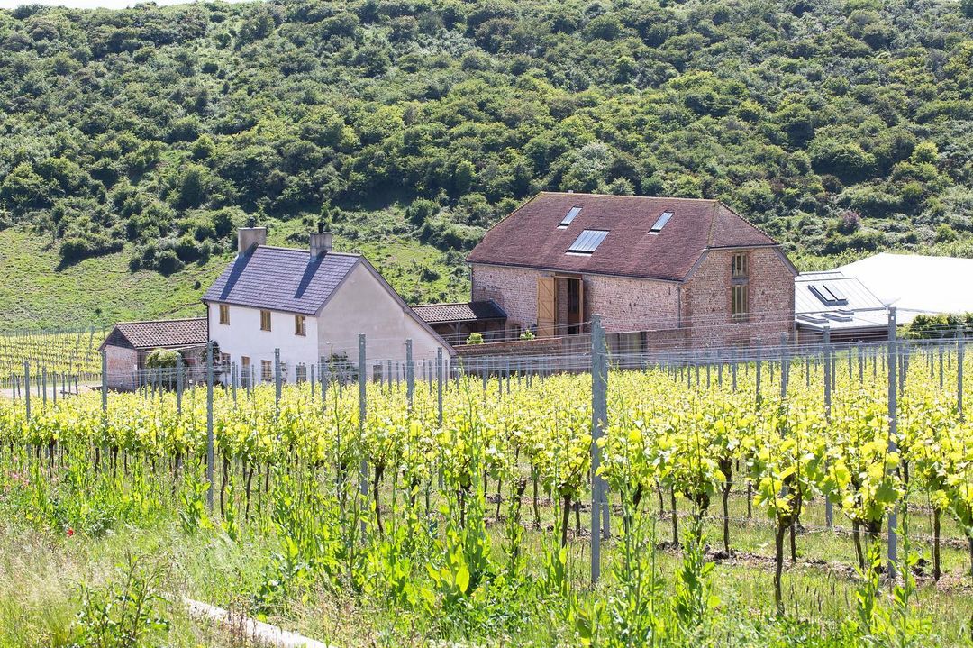 vineyard tours with accommodation uk