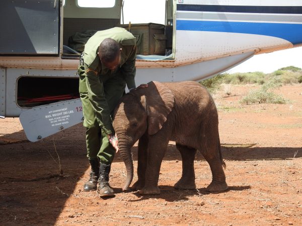 The week in pictures