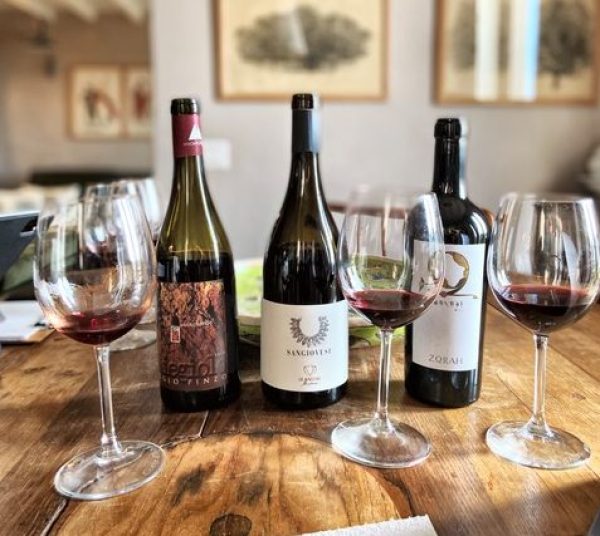 New wave of winemakers rediscovering Terracotta