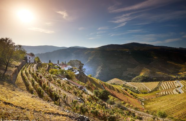 Douro’s dry wines enter a new phase of maturity and sophistication