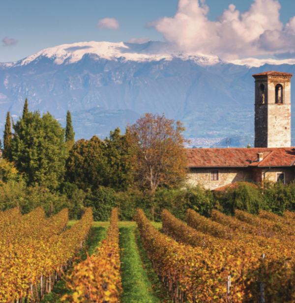 Italian sparkling wine sales fizz post-pandemic