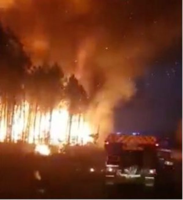 ‘No smoke taint detected’ in Bordeaux, CIVB says