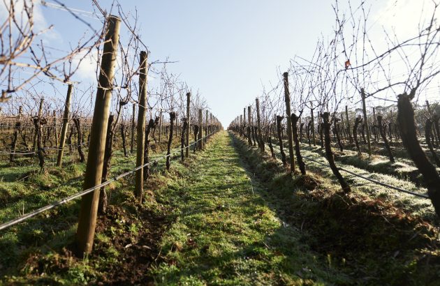 Jackson family expands vineyard holdings in Australia