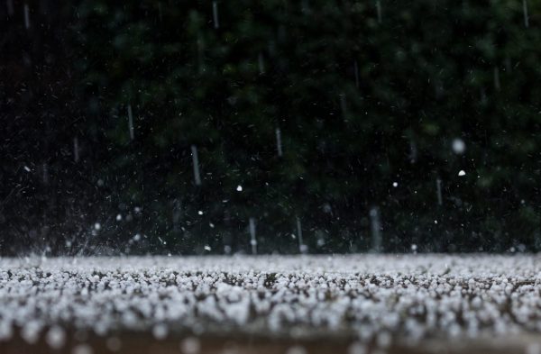 French Agricultural Ministry issues proposals to combat hail damage