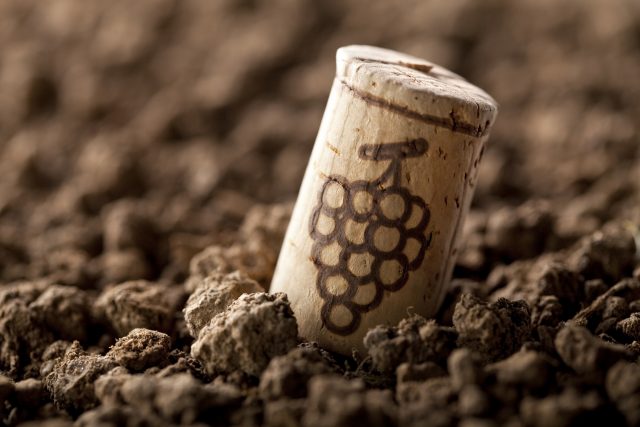 Drought plagues Tuscan wine producers