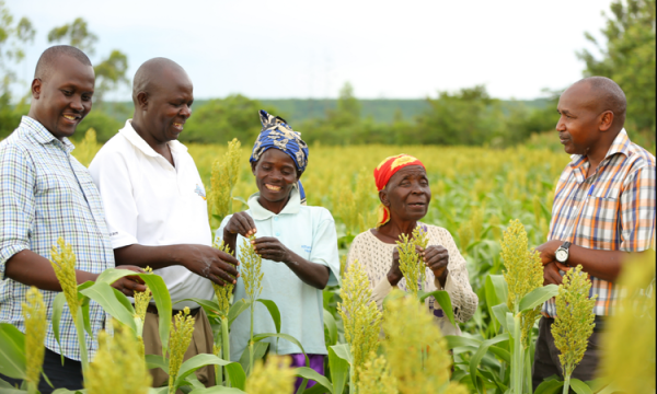 Diageo announces £450k of climate funding African farms