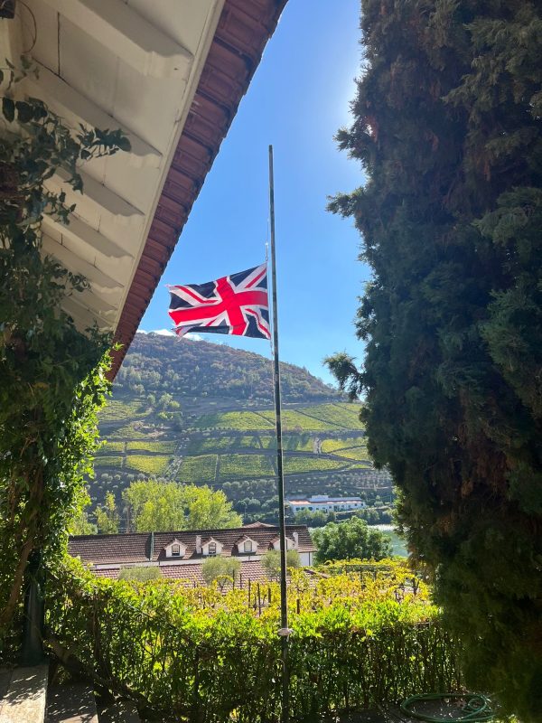 The week in pictures