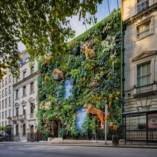 London Members club Annabel’s reveals its latest Amazon façade