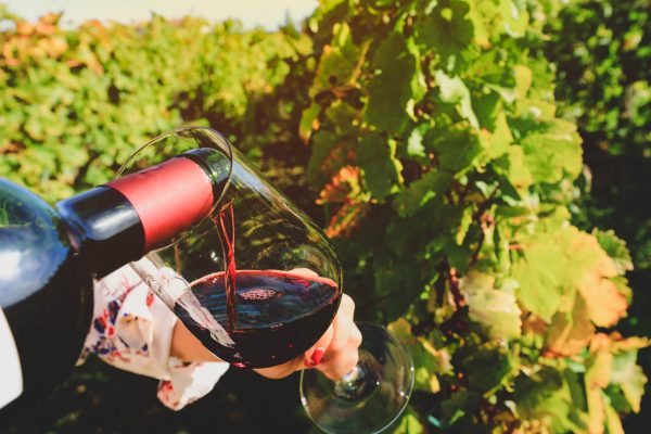 New study suggests climate change patterns are boosting wine quality
