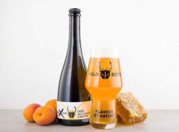Wild Beer Co has created a new beer made from wasp’s yeast
