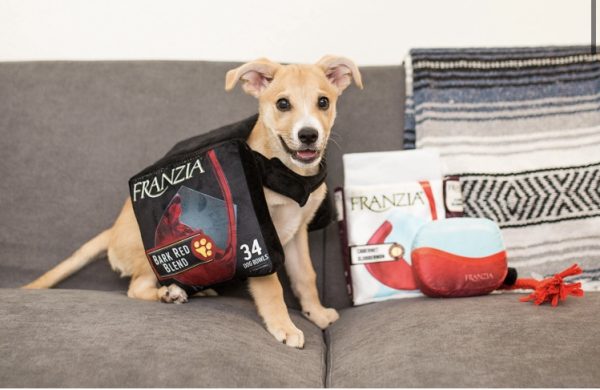 Franzia Wines launches boxed wine Halloween costume for dogs