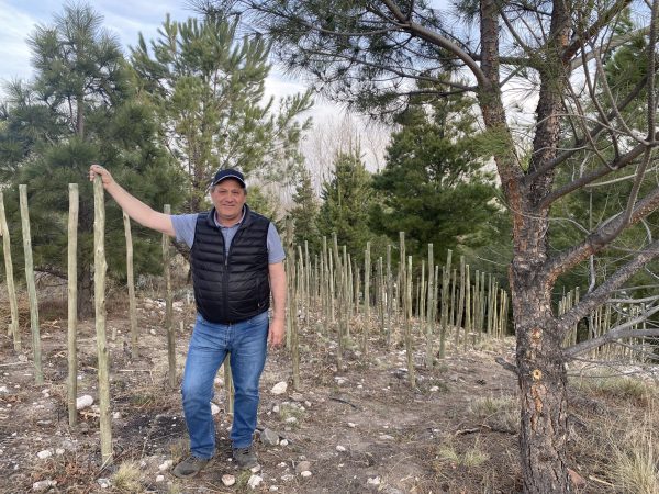 ‘The hills are the future of Mendoza’: Edy del Popolo