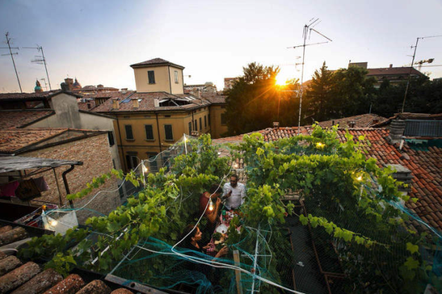 World's smallest vineyard: Via Maria 10 in Italy