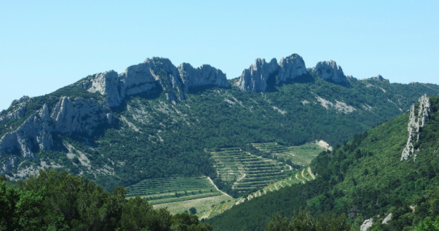Gigondas AOC extended to white wines from 2023 vintage