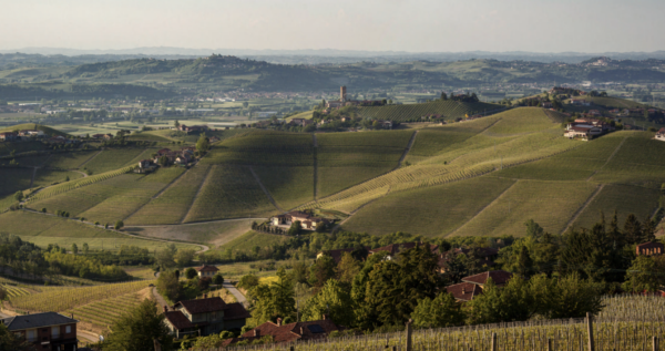 First Barbarescos released on La Place de Bordeaux