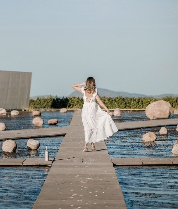 6 best wine tourism experiences in Chile