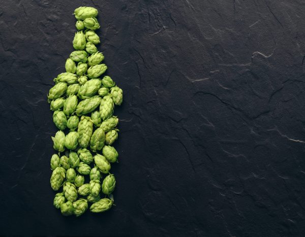 Poor hop harvests anticipated in Europe