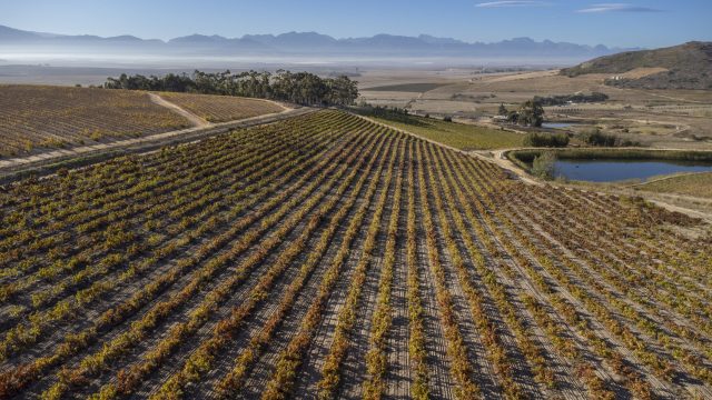 South Africa pushes premiumisation as value sales grow