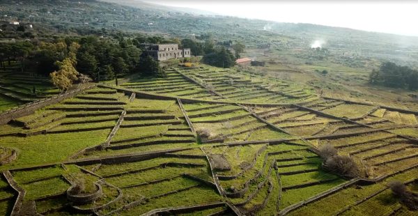 Planeta assumes management of Castello Solicchiata