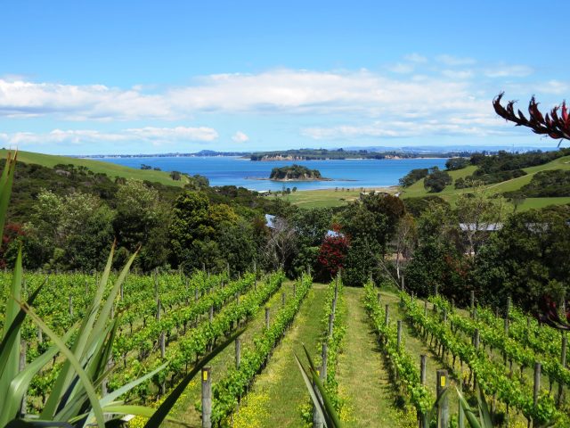 New Zealand wine export value hits record high