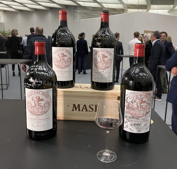 Masi 250: a vision for the future of Valpolicella