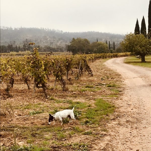 ‘We can’t wait for consumers to demand it. We have to go out there and do it’