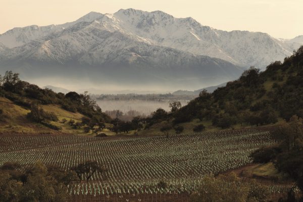 Santa Rita Estates bolsters European team with two appointments