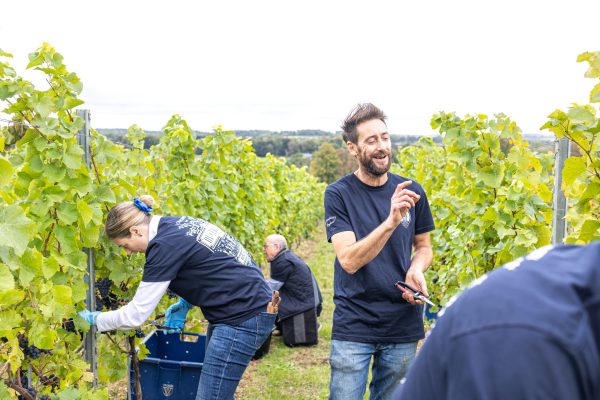 The week in pictures