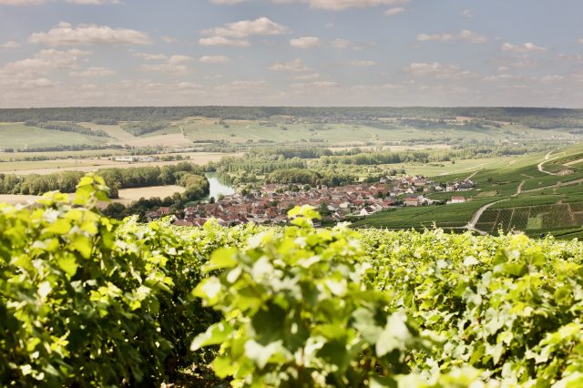 Cumières - murder in Champagne suspect arrested