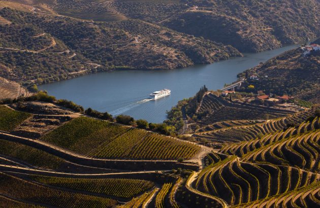 How Port country is becoming a source of fine dry white wines