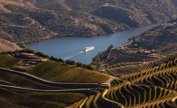 How Port country is becoming a source of fine dry white wines