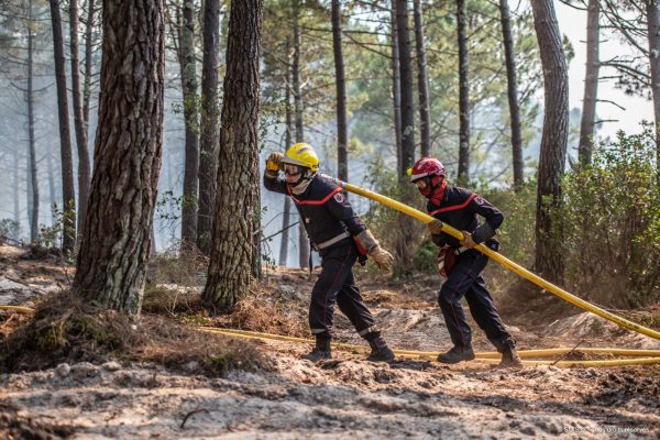 Château Mouton Rothschild 2020 Sotheby’s ‘super-lot’ auction to benefit Bordeaux firefighters