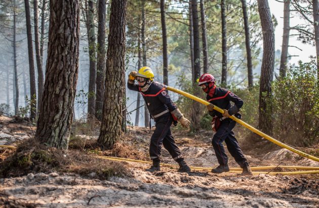 Château Mouton Rothschild 2020 Sotheby’s ‘super-lot’ auction to benefit Bordeaux firefighters