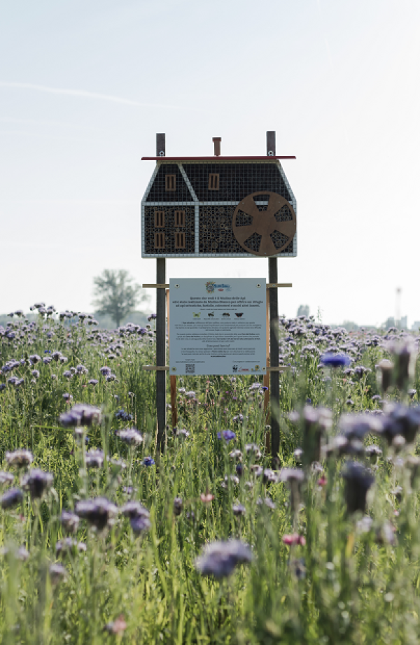 Ca’Bolani steps up its sustainability drive