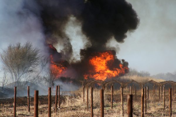 New ‘fireproof’ home unveiled in Wine Country
