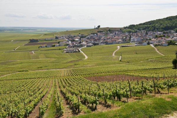 Champagne experiments to keep the freshness alive
