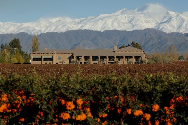 Vistalba IG announced in Argentina