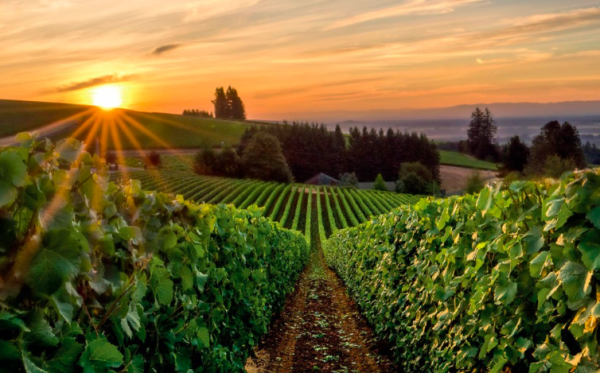 García-Carrión: sustainability first