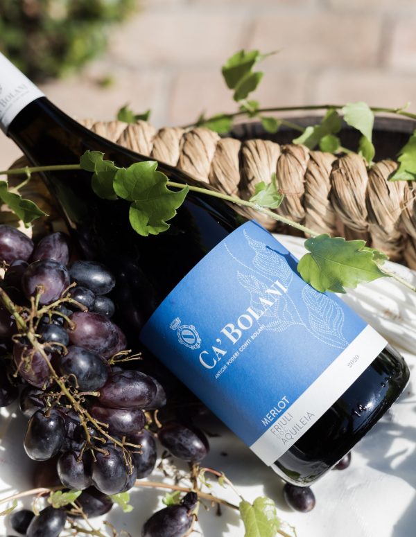 Producer profile: Tenuta Ca’Bolani